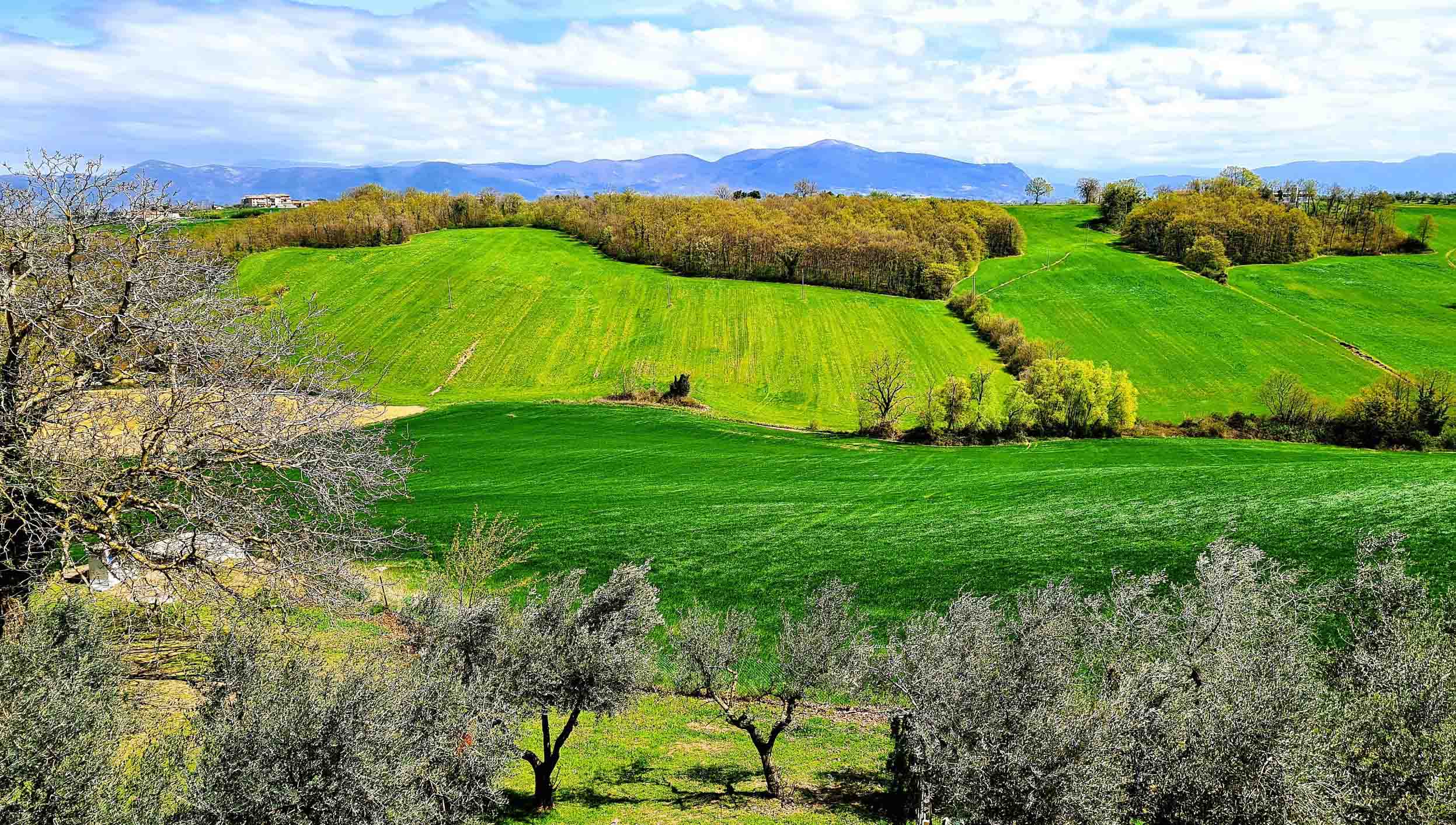 La strumentazione